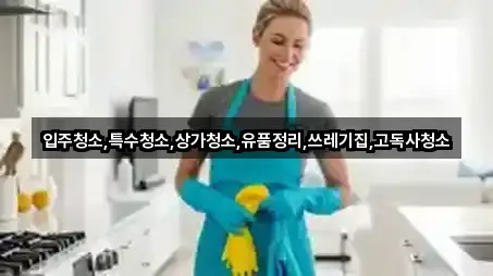 경상북도 대항면 청소업체 5곳 지번 주소