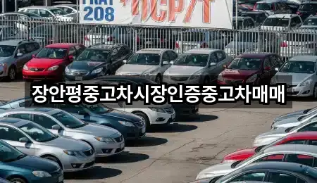광진구 광장동 중고차 5곳 빠른 확인