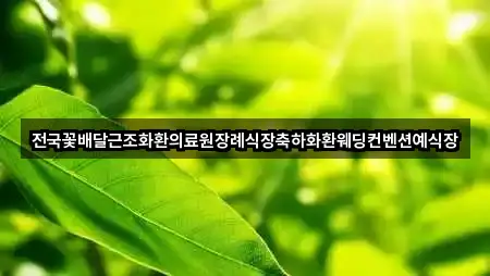 전국꽃배달근조화환의료원장례식장축하화환웨딩컨벤션예식장