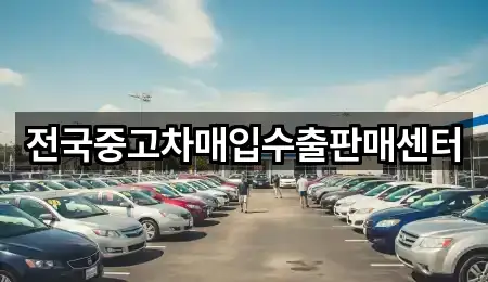 강원 강릉 강문동 중고차 2곳 근처 한눈에