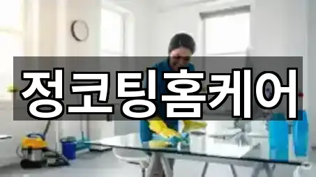 서귀포 동홍동입주청소 5곳 길안내 모음