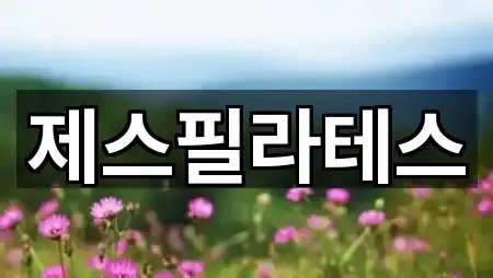 제스필라테스