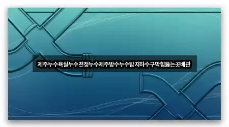 제주누수욕실누수천정누수제주방수누수탐지하수구막힘뚫는곳배관