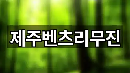 제주특별자치도 제주시 건입동 웨딩카 영업지점 2곳