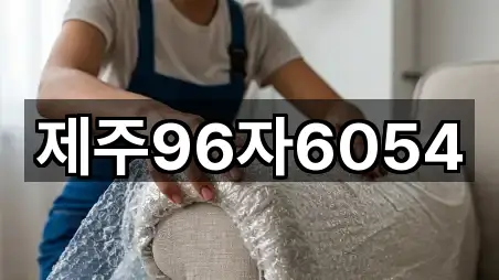 제주96자6054