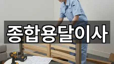 종합용달이사