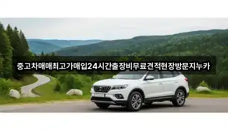 중고차매매최고가매입24시간출장비무료견적현장방문지누카