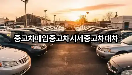 시흥 무지내동 중고차 가까운 추천 4곳