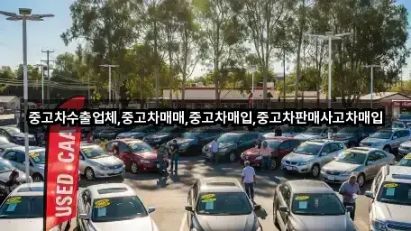 오늘 기준 경북 목성동 중고차 5곳