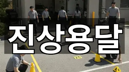 광양시 진상면 이사 5곳 지번 주소