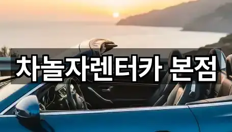 성남 구미동 렌트카 5곳 길찾기