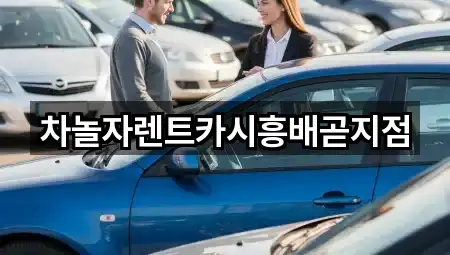 차놀자렌트카시흥배곧지점