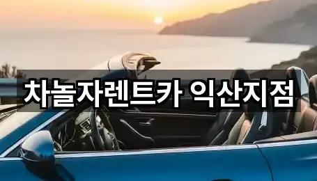 차놀자렌트카 익산지점