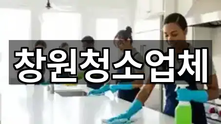 창원 용호동 청소업체 네이버지도 5곳