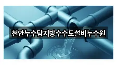 천안누수탐지방수수도설비누수원