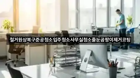 용인시 호동청소업체 인기 순위 5곳