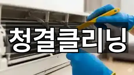청결클리닝