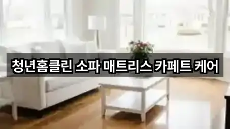 청년홈클린 소파 매트리스 카페트 케어