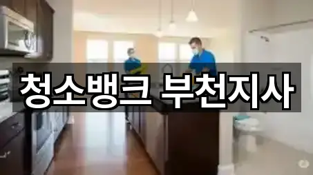 인기 시흥시 계수동 청소 5곳 모아보기