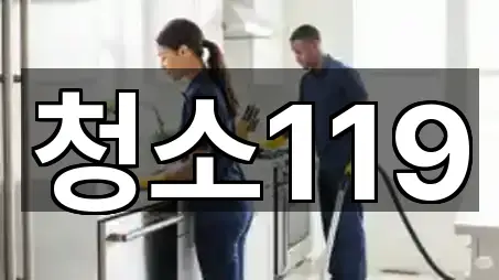 청소119