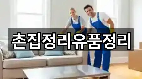 핫플: 경북 월항면 청소업체 5곳