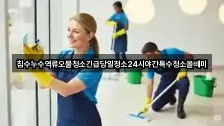 침수누수역류오물청소긴급당일청소24시야간특수청소올빼미