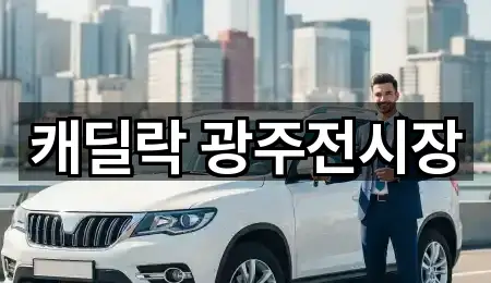 광주광역시 동구 충장로4가 자동차전시장 지도/주소 1건