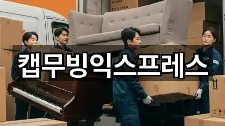 5곳 대구광역시 서호동 이사 최근 추가