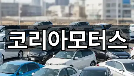 경로 확인: 부산 회동동 중고차 5곳