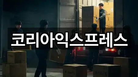 완도군 이사 5곳 주변 총정리