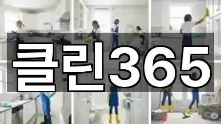 클린365