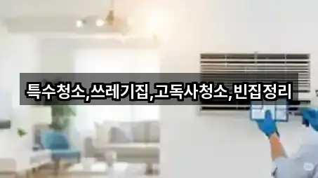 신안군 임자면 청소업체 많이 찾는 4곳