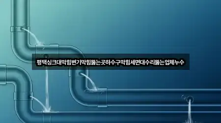 평택싱크대막힘변기막힘뚫는곳하수구막힘세면대수리뚫는업체누수