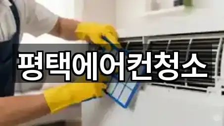 빠른 길안내: 경기도 독곡동 청소업체 5곳