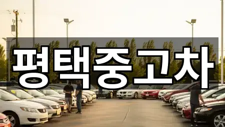 평택중고차