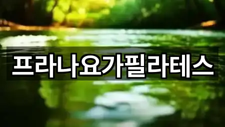 프라나요가필라테스