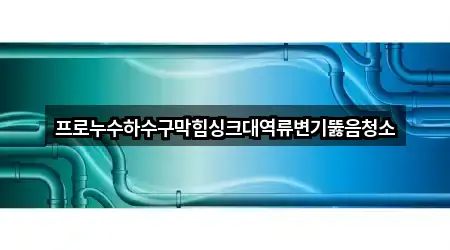 프로누수하수구막힘싱크대역류변기뚫음청소