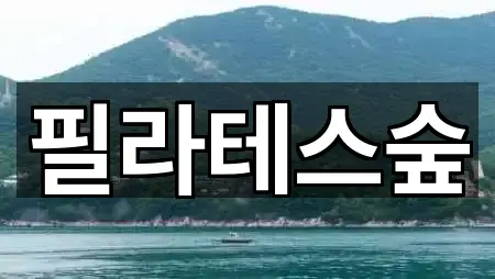 필라테스숲