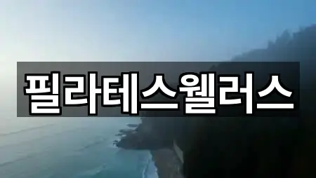 필라테스웰러스