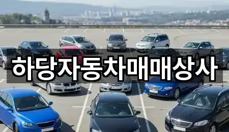 도보 길찾기 | 전라남도 대양동 중고차 5곳