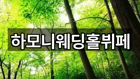 하모니웨딩홀뷔페