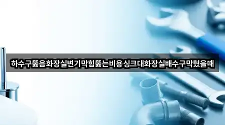 하수구뚫음화장실변기막힘뚫는비용싱크대화장실배수구막혔을때