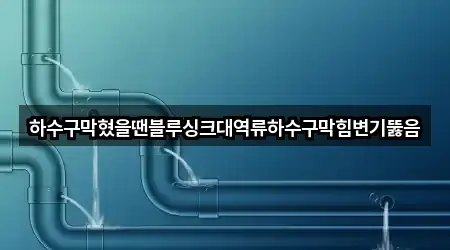하수구막혔을땐블루싱크대역류하수구막힘변기뚫음