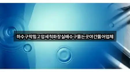 하수구막힘고압세척화장실배수구뚫는곳야간뚫어업체