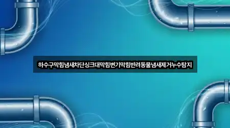 하수구막힘냄새차단싱크대막힘변기막힘반려동물냄새제거누수탐지