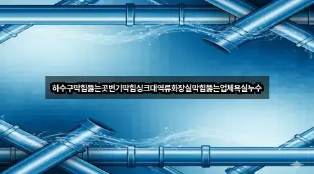 하수구막힘뚫는곳변기막힘싱크대역류화장실막힘뚫는업체욕실누수