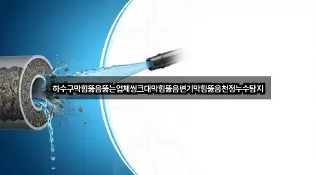 하수구막힘뚫음뚫는업체씽크대막힘뚫음변기막힘뚫음천정누수탐지