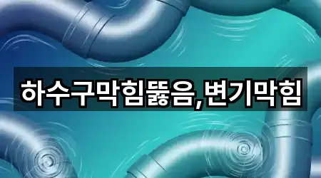 하수구막힘뚫음,변기막힘