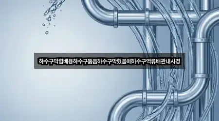 하수구막힘배용하수구뚫음하수구막혔을떼하수구역류배관내시경
