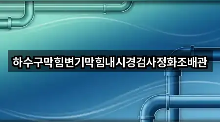 하수구막힘변기막힘내시경검사정화조배관